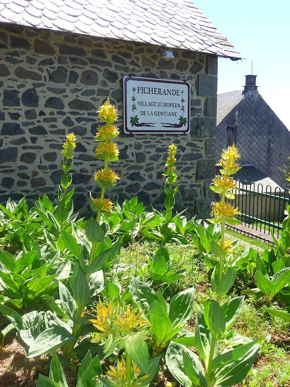 Aux Balcons Du Sancy Aparthotel Picherande Ngoại thất bức ảnh